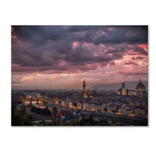 Trademark Fine Art 14 in. x 19 in. After the Storm Canvas Art ALI0020 C1419GG