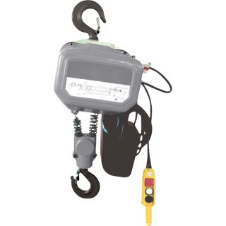 Roughneck Round Chain Electric Hoist — 2-Ton Load Capacity, 9.8 Ft. Lift  Electric Chain Hoists
