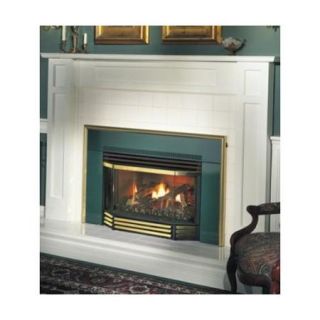 Napoleon GI3600N 25&quot; Basic B Vent Fireplace Insert Natural Gas Remote Ready Glass Door
