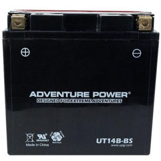 UPG Dry Charge AGM 12 Volt 12 Ah Capacity K Terminal Battery UT14B BS