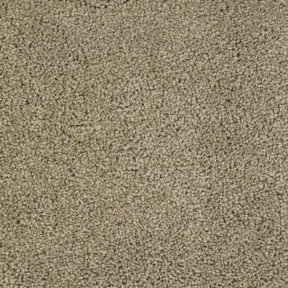 STAINMASTER TruSoft Chimney Rock Brown/Tan Textured Indoor Carpet