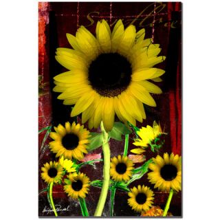 Trademark Fine Art Sunflower III by Miguel Paredes Painting Print on