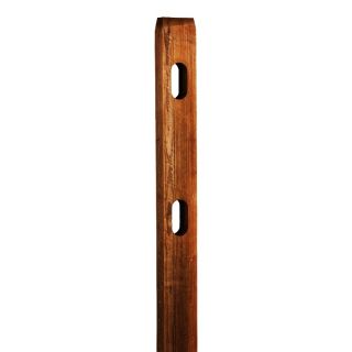 Pressure Treated Wood Pine Fence Post (Actual 2.5 in x 5.33 ft)