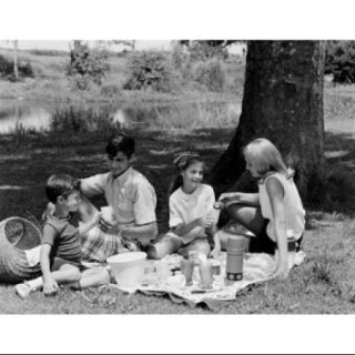 Family with two children having picnic in park Poster Print (18 x 24)