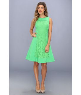 maggy london ponte lace sleeveless fit and flare dress fern