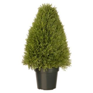 Boxwood Tree with Pot   Green (30)
