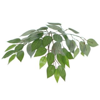 Vickerman Economy 6 Artificial Potted Natural Variegated Ficus Tree