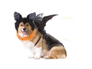 Dog Bat Pet Puppy Animal Planet Halloween Costume