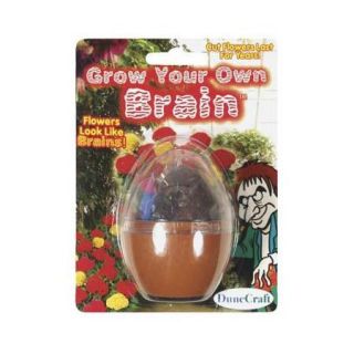 MT G134 Grow Your Own Brain Multi Colored