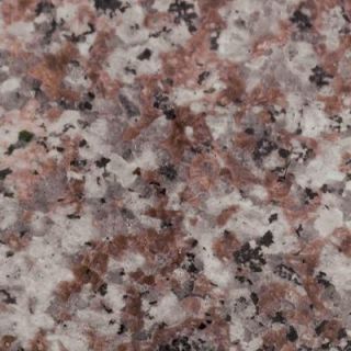 Pegasus 4 in. x 4 in. Montero Granite Sample 99664