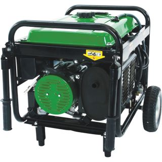 DuroMax Portable Dual Fuel Generator — 4850 Surge Watts, 3850 Rated Watts, Electric Start, CARB and EPA-Certified, Model# XP4850EH