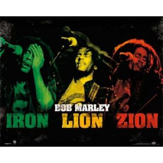 Bob Marley   Iron Lion Zion Colors Poster Print (16 x 20)