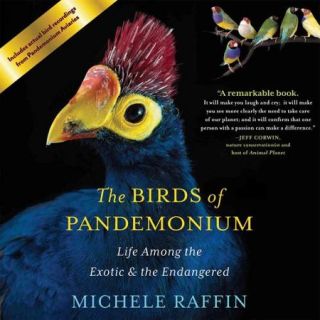 The Birds of Pandemonium Life Among the Exotic & the Endangered
