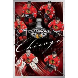 2015 Chicago Blackhawks Stanley Cup   Champs Poster Print (24 x 36)