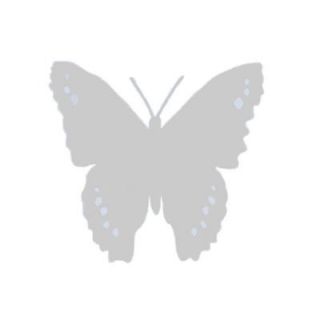 Make Em Move WindowAlert UV Butterfly Decal (4 Pack) WA 001