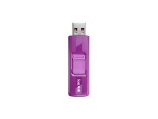 SanDisk Cruzer SDCZ36E 008G B35SP 8 GB USB 2.0 Flash Drive   Purple