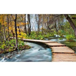 Ideal Decor 50 in. x 0.25 in. Path into The Forest Wall Mural DM436