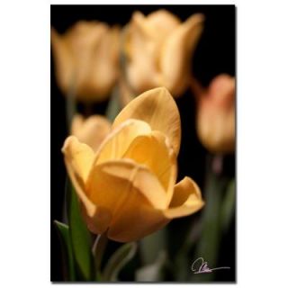 Trademark Fine Art 24 in. x 16 in. Tulips Blooms VIII Canvas Art MG0140 C1624GG