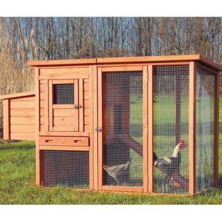Trixie Pet Products Trixie Chicken Coop with Outdoor Run