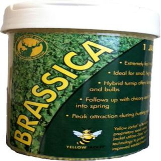 Tecomate 1 lb. Brassica Pounder Professional Wildlife Seed 25005