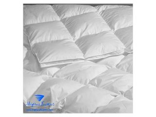 260 TC 650 loft summer fill Queen size 27 oz European white down comforter