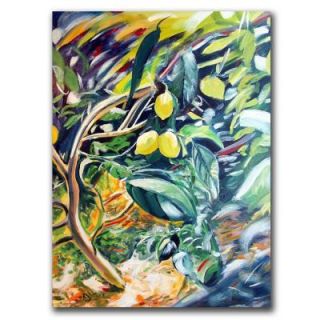 Trademark Fine Art 26 in. x 32 in. Lemon Tree Canvas Art CP017 C2632GG