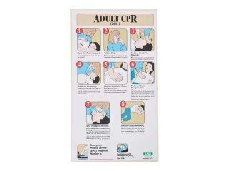 ACCUFORM SIGNS 197717 First Aid Poster, 191/2 x 11In