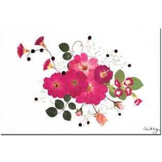 Trademark Fine Art Kathie McCurdy Pink Cosom 16 x 24 Canvas Art