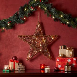 Apothecary & Company 20in. LED Twine Star   17506734  