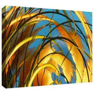 ArtWall Polar Pampas' by Dean Uhlinger Photographic Print Gallery Wrapped Canvas Art