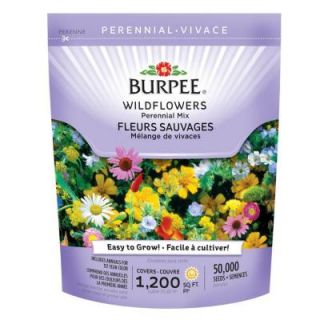 Burpee Wildflower Bag Perennial Mix Seed 13220
