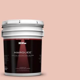 BEHR MARQUEE Home Decorators Collection 5 gal. #HDC CT 14 Coral Coast Flat Exterior Paint 445405