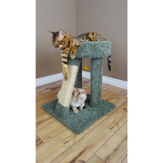 New Cat Condos 24 Elevated Cat Bed Tree   13810079  