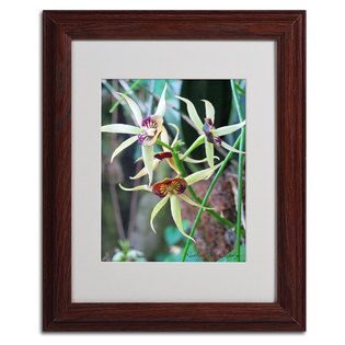 Trademark Fine Art Kathie McCurdy Orchids I Matted Framed Art   Home