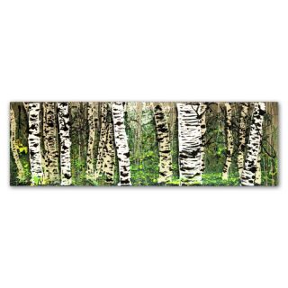 PanorAspens 4 by Roderick Stevens Painting Print on Wrapped Canvas