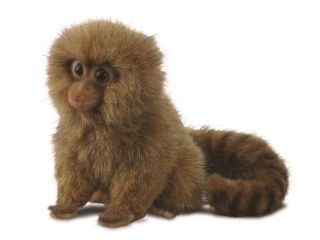 Pygmy Marmoset 7.87" by Hansa