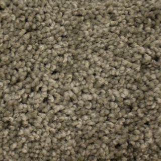 STAINMASTER PetProtect Georgetown Canyon Road Textured Indoor Carpet