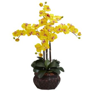 Nearly Natural Phalaenopsis with Decorative Vase Silk Flower