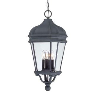 the great outdoors by Minka Lavery Harrison 4 Light Hanging Indoor/Outdoor Black Lantern 8694 66
