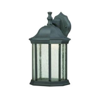 Thomas Lighting Hawthorne Wall Mount 1 Light Outdoor Painted Bronze LED Lantern DISCONTINUED TW0007763