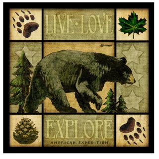 American Expedition Square Coasters Lodge Series (Set of 4)   17299186