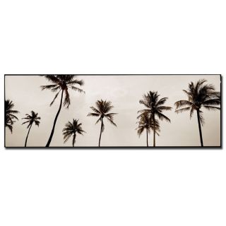 Preston Black & White Palms 8x24 Canvas Wall Art   17689142