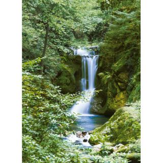 Ideal Decor Waterfall Wall Mural by Brewster Home Fashions