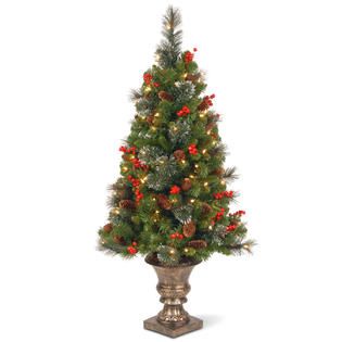 National Tree Company 4 ft. Crestwood Spruce Entrance Tree with Clear