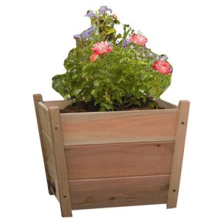Phat Tommy Square Planter Box by Buyers Choice