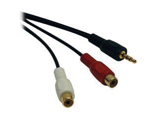 Tripp Lite P315 006 6 ft. Audio Y Splitter Adapter Cable 3.5mm Male / 2 x RCA Female