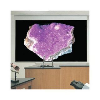 Draper Silhouette/Series E Glass Beaded Electric Projection Screen