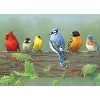 Paint By Number Artist's Collection 12"X16" Rail Birds