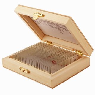 25 Glass Prepared Microscope Slides with Wooden Box   17397253