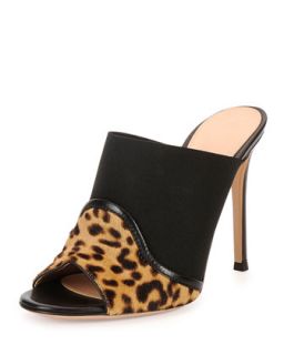 Gianvito Rossi Leopard/Leather Mule